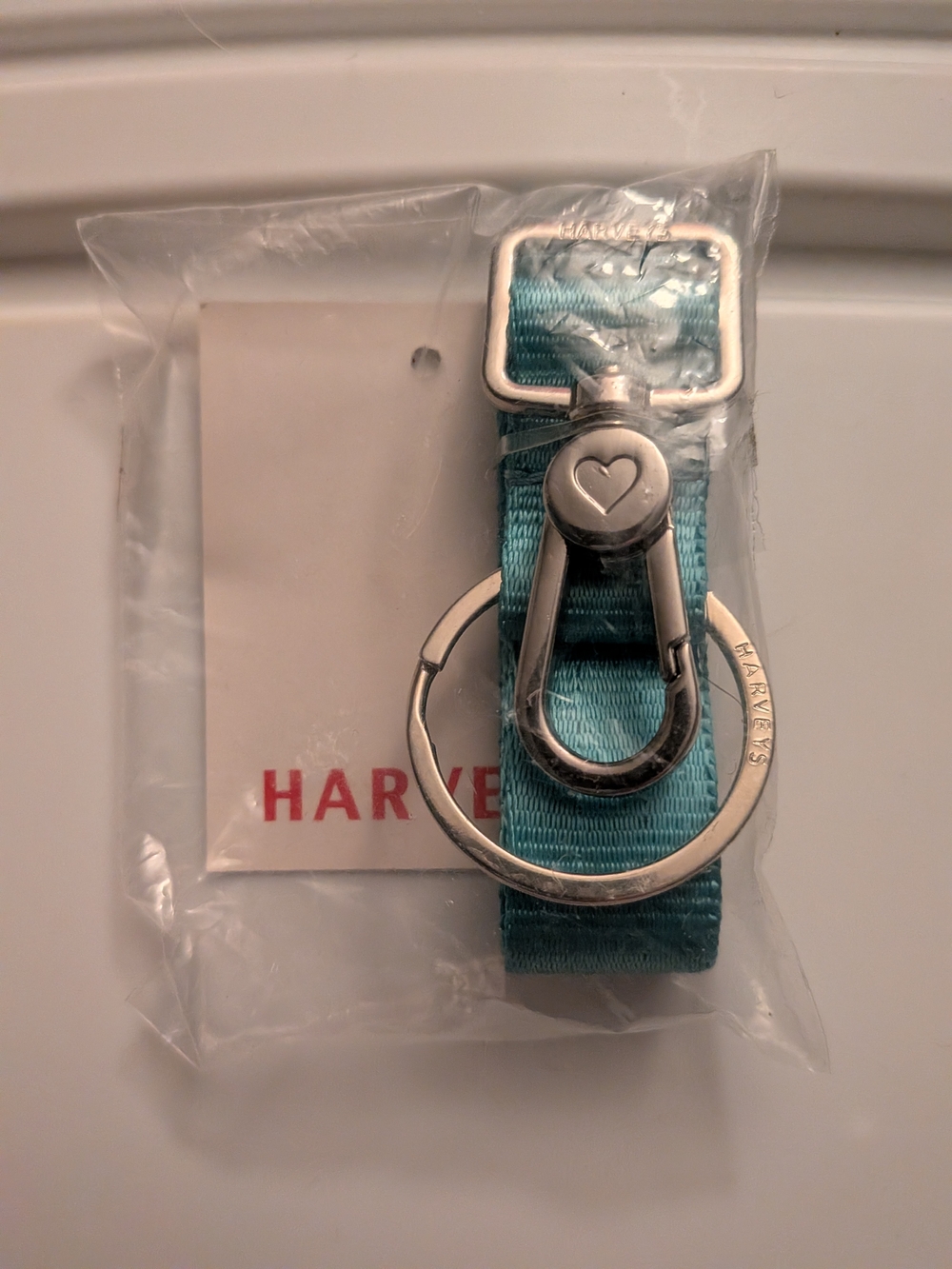 Harveys  Turquoise Clip And Go Keychain